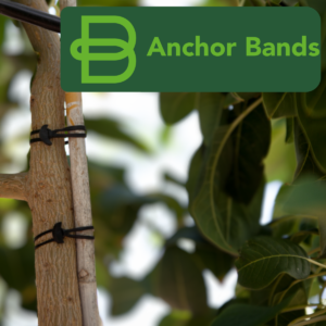 BANDEX Anchor Band 60x5mm - 1kg - Materials and Fabrics