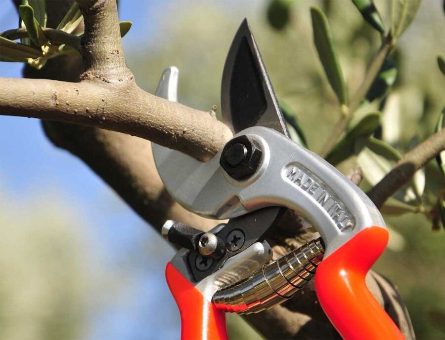 Castellari Ergonomic Pruning Shear - view 2